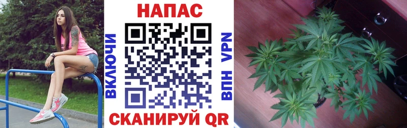 Магазины продажи наркотиков Вытегра MEGA маркетплейс Конопля Кокаин A PVP Меф Гашиш Амфетамин