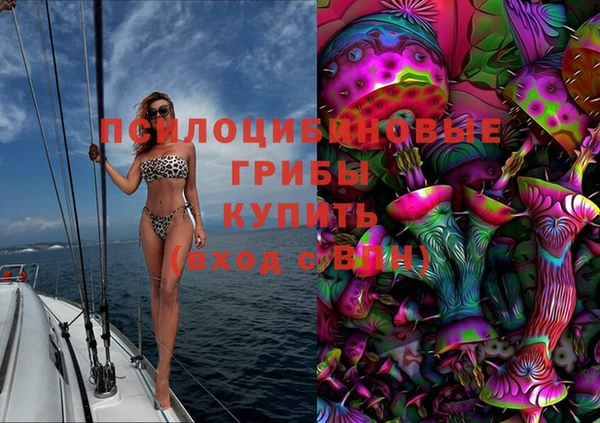 jwh Белокуриха